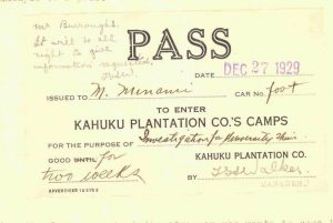 Kahuku Plantation Pass